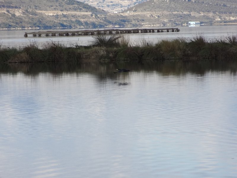 2018_Albanie-11-Butrint_117