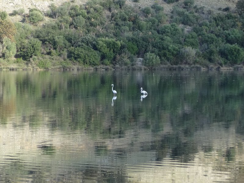 2018_Albanie-11-Butrint_118