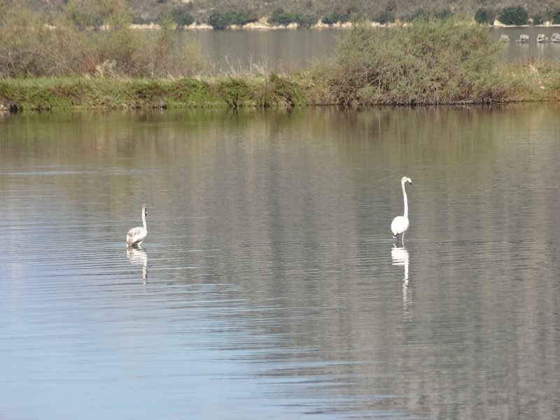 2018_Albanie-11-Butrint_119