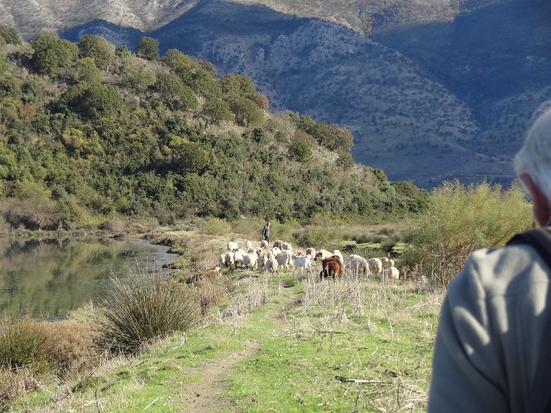 2018_Albanie-11-Butrint_122