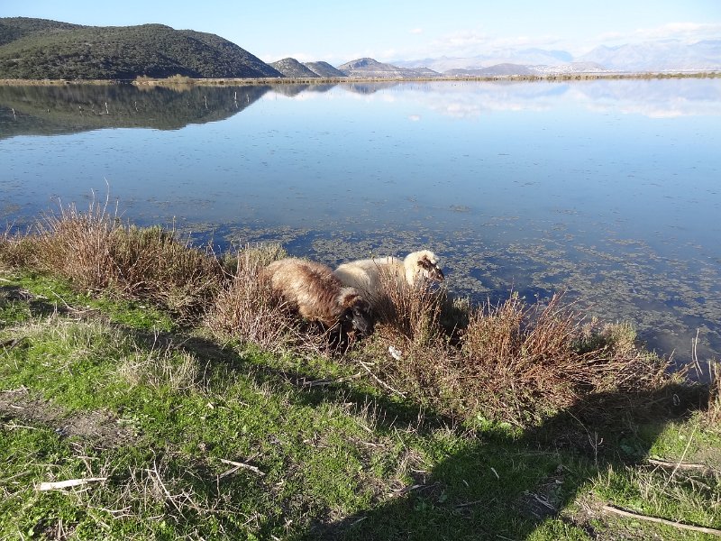 2018_Albanie-11-Butrint_123