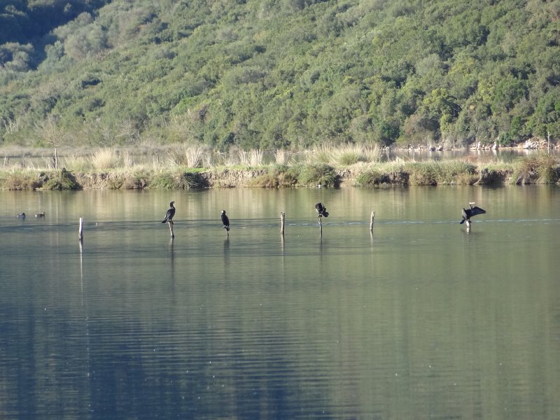 2018_Albanie-11-Butrint_126