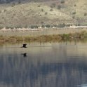 2018_Albanie-11-Butrint_114