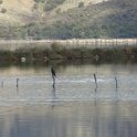 2018_Albanie-11-Butrint_116