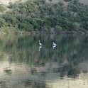 2018_Albanie-11-Butrint_118