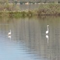 2018_Albanie-11-Butrint_119