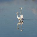 2018_Albanie-11-Butrint_120