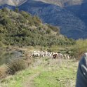 2018_Albanie-11-Butrint_122