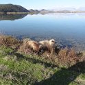 2018_Albanie-11-Butrint_123