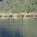 2018_Albanie-11-Butrint_126