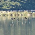 2018_Albanie-11-Butrint_127