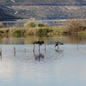 2018_Albanie-11-Butrint_128