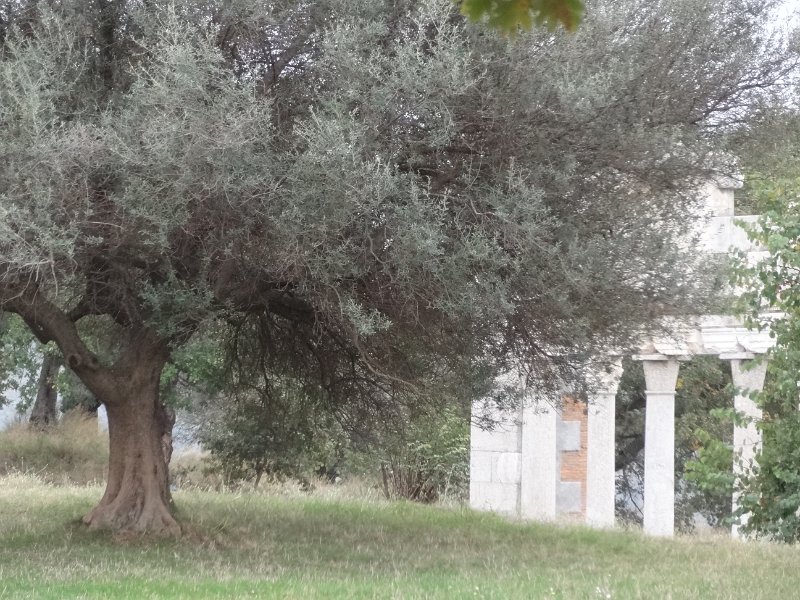 2018_Albanie-8-Fier-environs-Appolonia_26