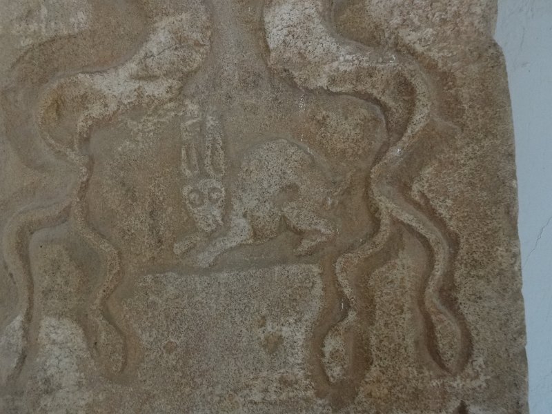2018_Albanie-8-Fier-environs-Appolonia_50