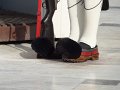 2011_Athenes-5-Syntagma_et_parlement_04