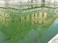 2009_06_Vaux_le_Vicomte_43